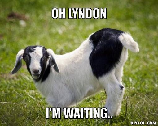 I Am Waiting Funny Goat Meme Image