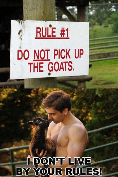 I Don't Live By Your Rules Funny Goat Meme Image