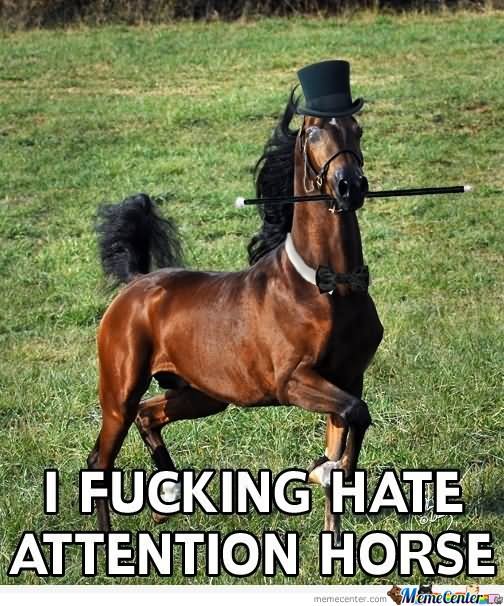 I Fucking Hate Attention Horse Funny Meme Picture