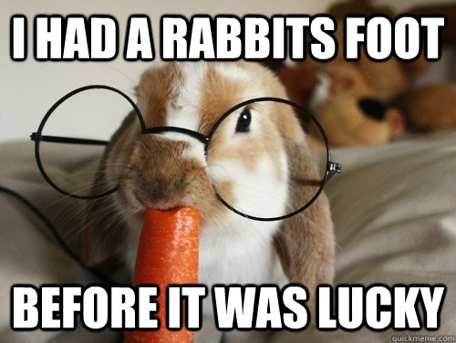 I Had A Rabbits Foot Before It Was Lucky Funny Rabbit Meme Image