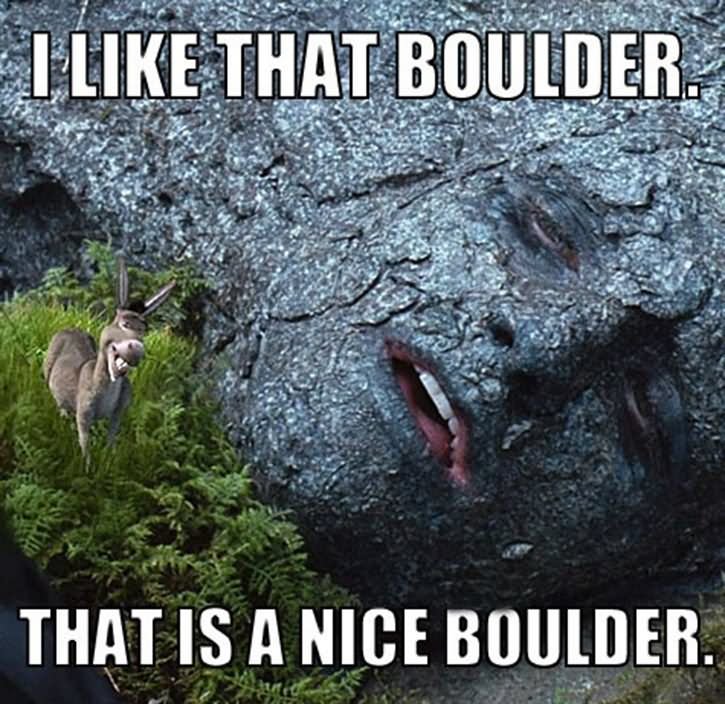 I Like That Boulder That Is A Nice Boulder Funny Donkey Meme Image