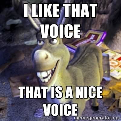 I Like That Voice That IS A Nice Voice Funny Donkey Meme Image