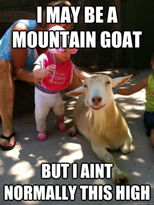 I May Be A Mountain Goat Funny Meme Picture