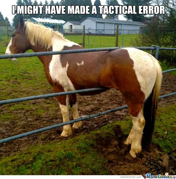 I Might Have Made A Tactical Error Funny Horse Meme Picture