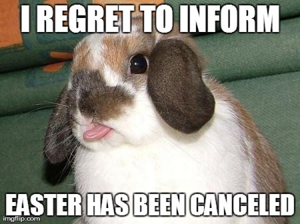 I Regret To Inform Easter Has Been Canceled Funny Rabbit Meme Picture.