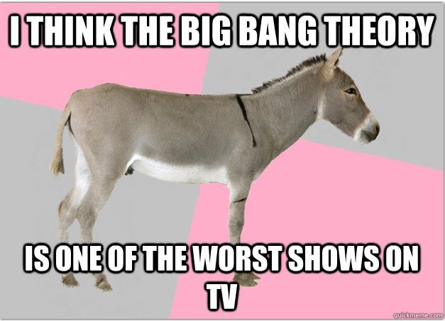I Think The Big Bang Theory Funny Donkey Meme Picture
