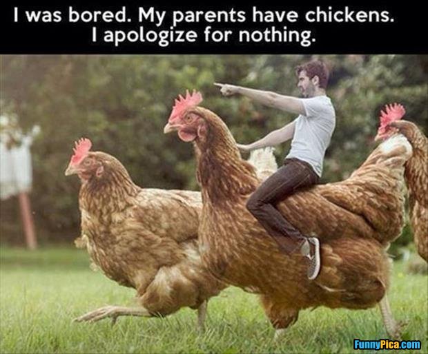 Image result for playing chicken meme