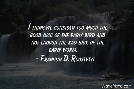 I think we consider too much the good luck of the early bird and not enough the bad luck of the warly worm - Franklin D. Roosevelt