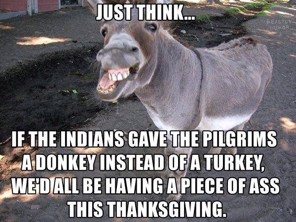 If The Indians Gave The Pilgrims Funny Donkey Meme Photo For Whatsapp