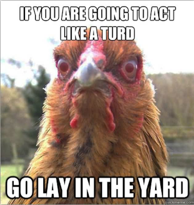 If You Are Going To Act Like A Turd Funny Chicken Meme Picture