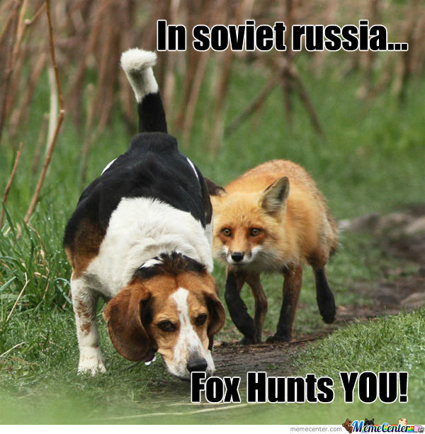In Soviet Russia Fox Hunts You Funny Meme Image