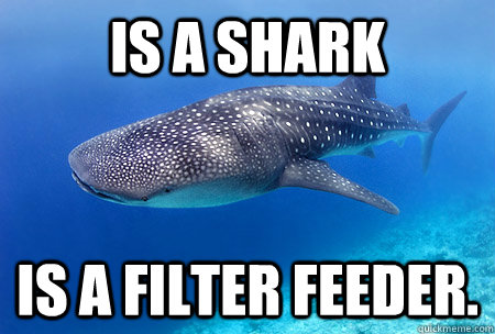 Is A Shark Is A Filter Feeder Funny Meme Image