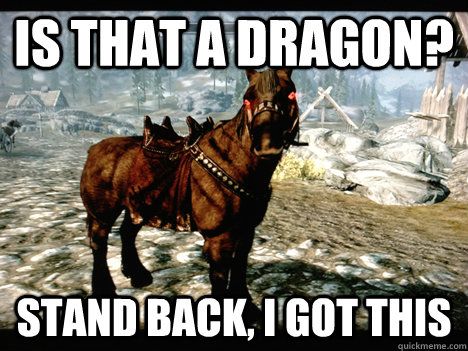Is That A Dragon Stand Back I Got This Funny Horse Meme Picture