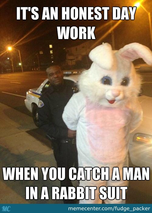 It's An Honest Day Work Funny Rabbit Meme Image
