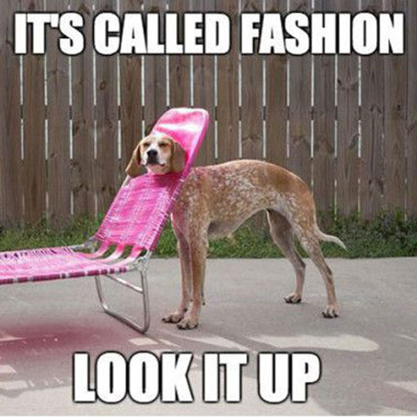 It's Called Fashion Look It Up Funny Meme Picture