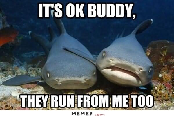 It's Ok Buddy They Run From Me Too Funny Shark Meme Image