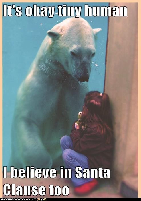It's Okay Tiny Human I Believe In Santa Clause Too Funny Bear Meme Picture