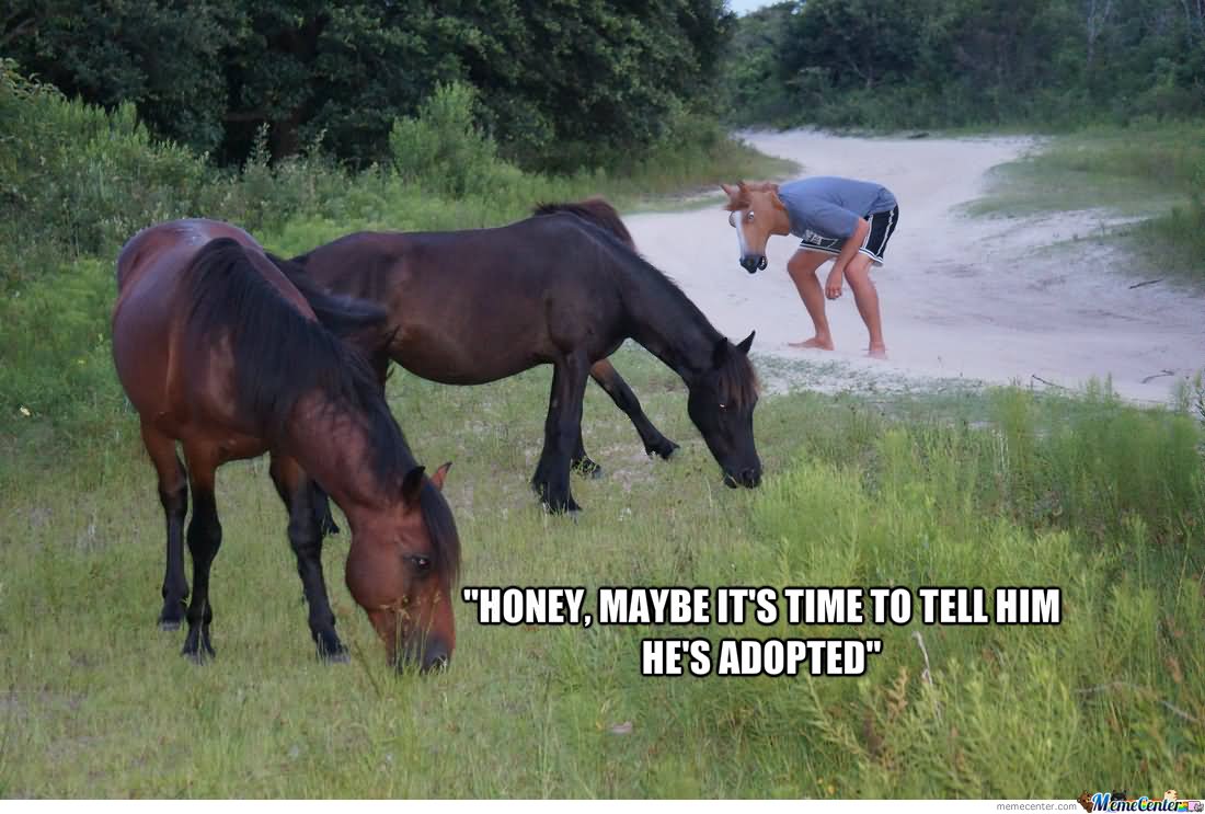 It's Time To Tell Him He's Adopted Funny Horse Meme Picture For Facebook