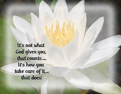 It’s not what God gives you, that counts, it’s how you take care of it, that does.