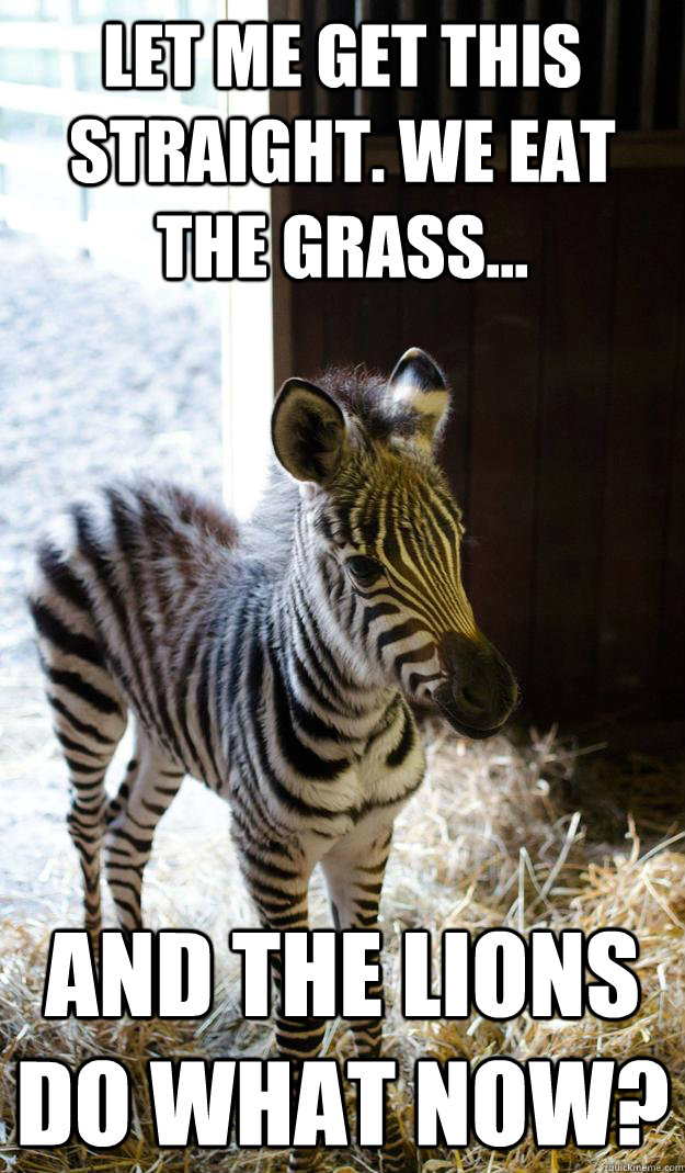 Let Me Get This Straight We Eat The Grass Funny Zebra Meme Image