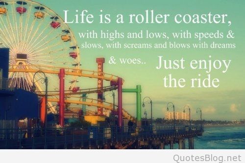 Life is like a rollercoaster with highs and lows. So quit complaining about it and enjoy the ride  -  Habeeb Akande