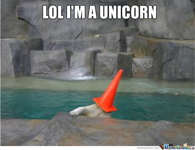 Lol I Am A Unicorn Very Funny Bear Meme Picture