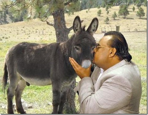 Man Kissing Donkey Funny Face Image
