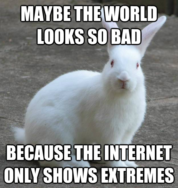 20 Very Funny Rabbit Meme Photos And Pictures