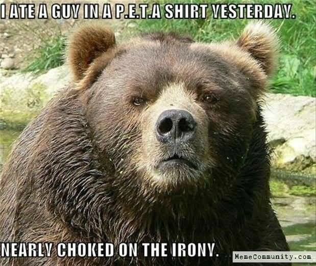 Nearly Choked On The Irony Funny Bear Meme Image
