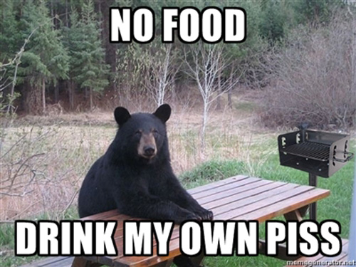 No Food Drink My Own Piss Funny Bear Meme Image