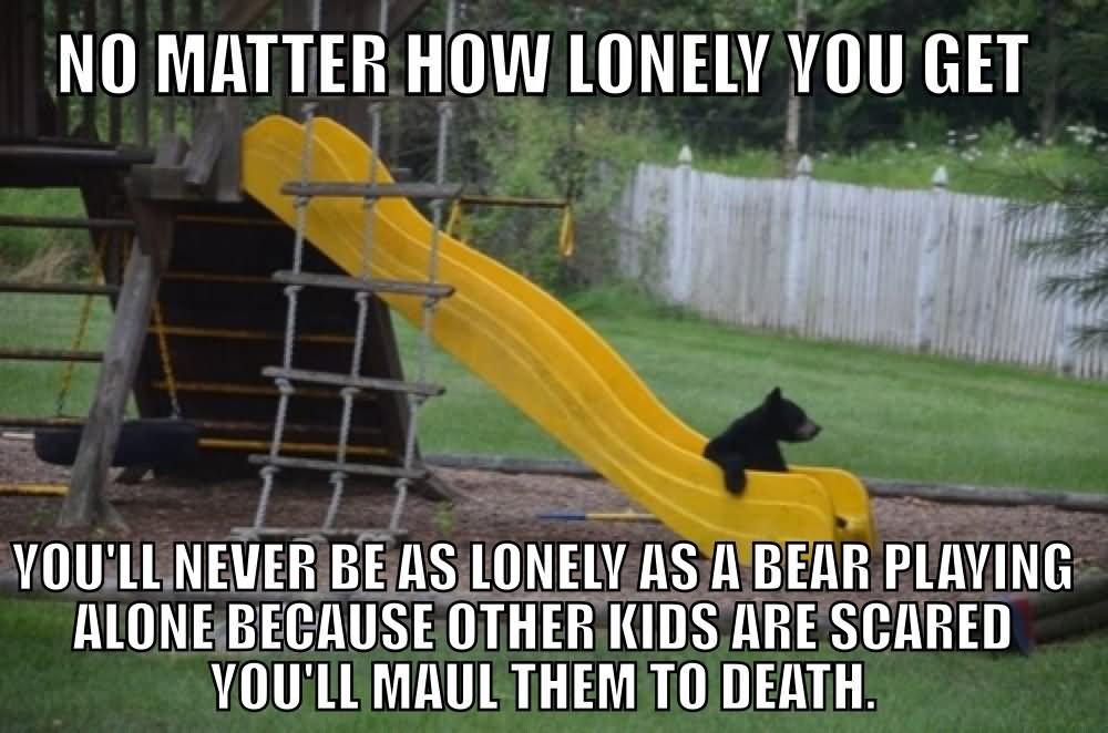 No Matter How Lonely You Get Funny Bear Meme Picture
