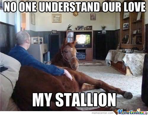 No One Understand Our Love My Stallion Funny Horse Meme Image