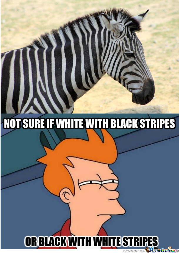 Not Sure If White With Black Stripes Funny Zebra Meme Image.