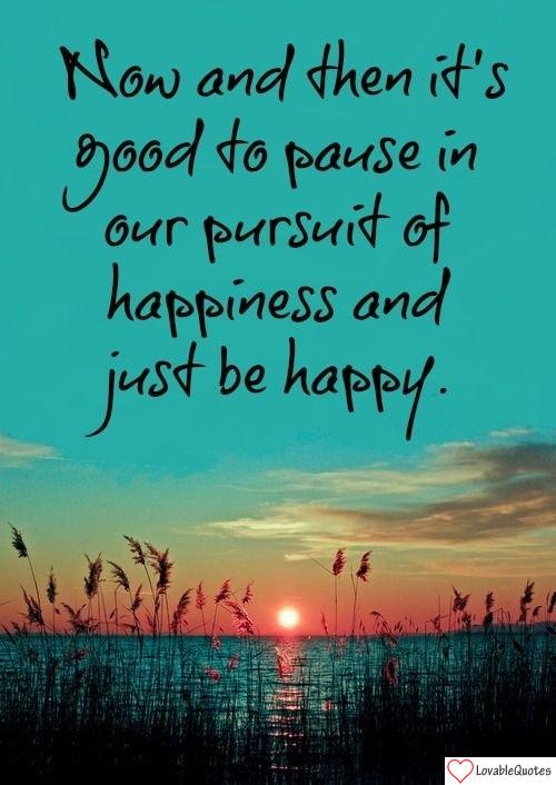Now and then it's good to pause in our pursuit of happiness and just be happy.   -  Guillaume Apollinaire