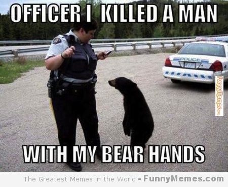 Officer I Killed A Man Funny Bear Meme Picture For Facebook