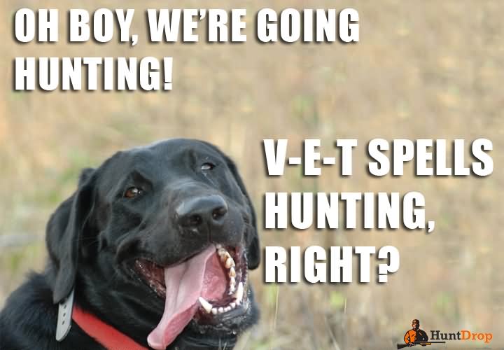 Oh Boy We Are Going Hunting Funny Meme Image