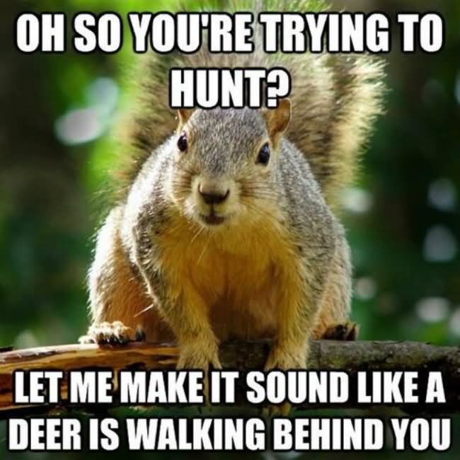 Oh So You Are Trying To Hunt Funny Hunting Meme Image