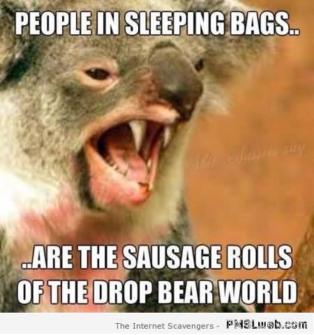 People In Sleeping Bags Funny Bear Meme Picture For Facebook