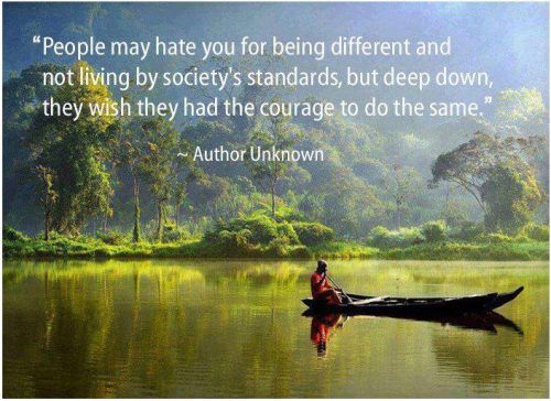 People May Hate You For Being Different and Not Living By Society's Standards,but Deep Down,They Wish They Had The Courage To Do The Same