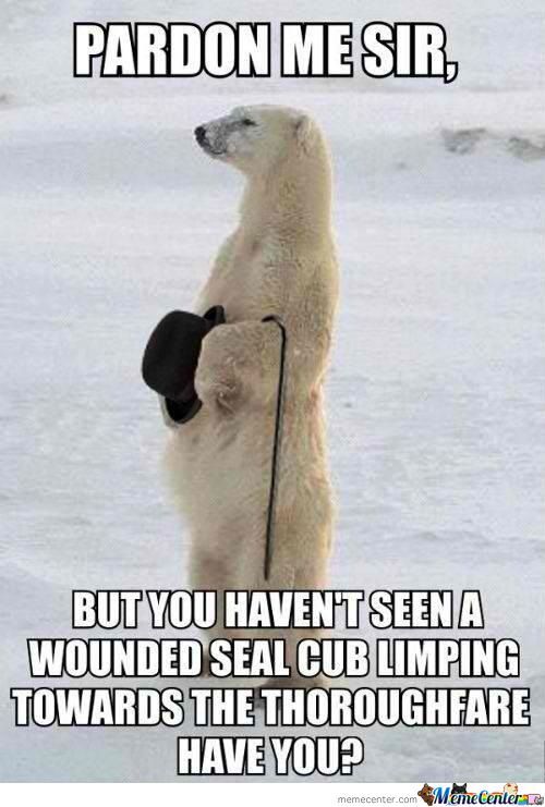 Polar Bear Funny Meme Picture