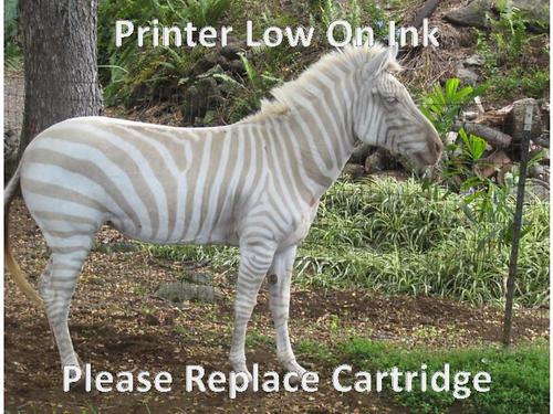 Printer Low On Ink Please Replace Cartridge Funny Zebra Meme Image
