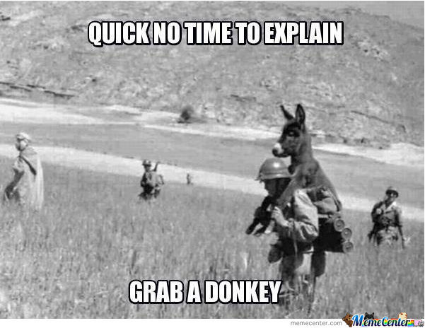 Quick No Time To Explain Funny Donkey Meme Image