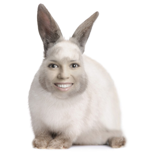 Rabbit With Girl Face Funny Photoshopped Image