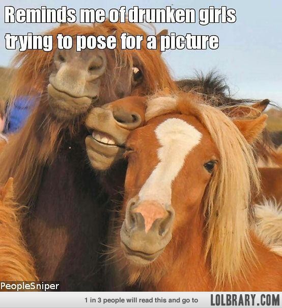 Reminds Me Of Drunken Girls Trying To Pose For A Picture Funny Horse Meme For Facebook