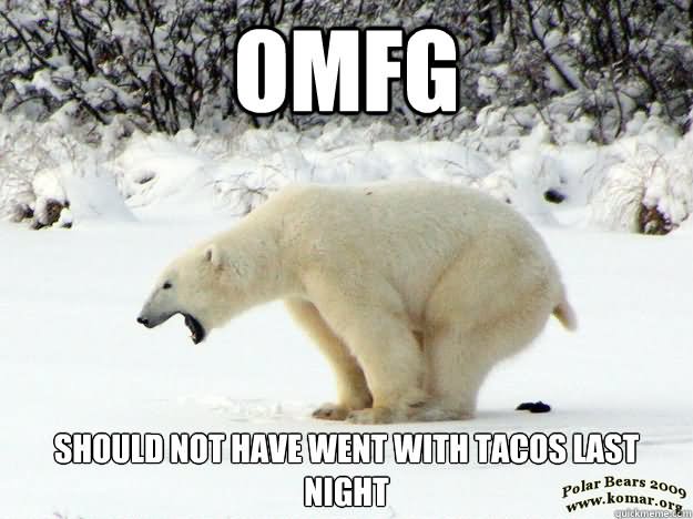 Should Not Have Went With Tacos Last Night Funny Bear Meme Picture