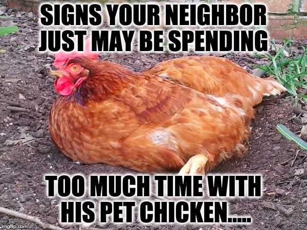 Signs Your Neighbor Just May Be Spending Funny Chicken Meme Picture