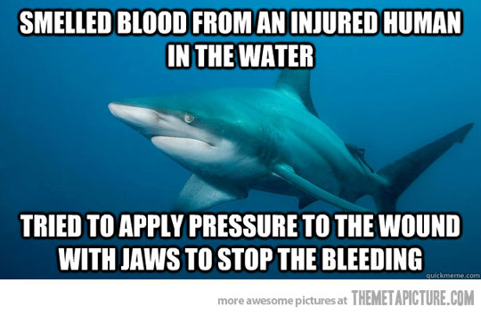 Smelled Blood From An Injured Human In The Water Funny Shark Meme Image
