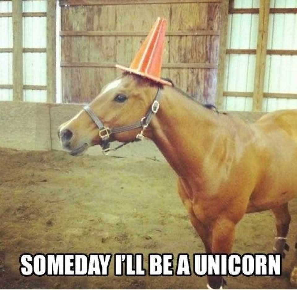 Someday I Will Be Unicorn Funny Horse Meme Image