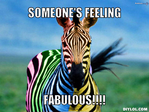 Someone's Feeling Fabulous Funny Zebra Meme Image