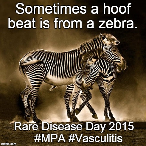 Sometimes A Hoof Beat Is From A Zebra Funny Meme Image